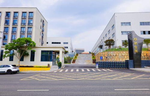 剛?cè)嵯酀?jì)鑄偉業(yè) 訪湖南順新金屬制品科技董事長(zhǎng)張順新